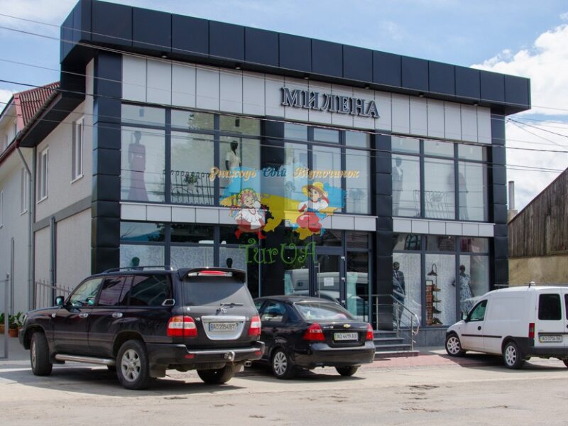 МІЛЕНА приватний сектор в Солотвино