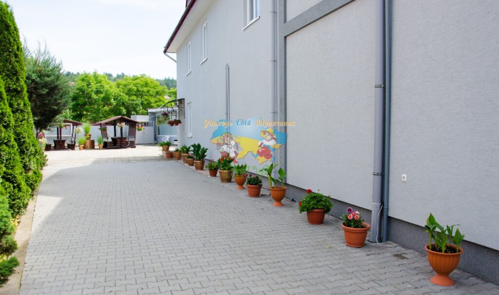 МІЛЕНА приватний сектор в Солотвино