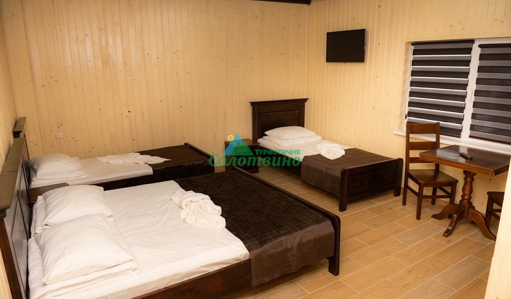 АНІОН база відпочинку в Солотвино