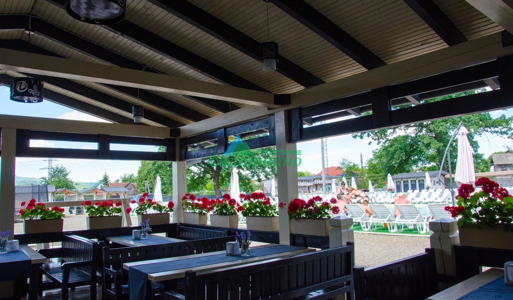 VILLA VLAD база відпочинку в Солотвино