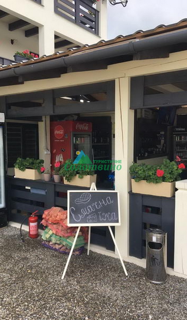 VILLA VLAD база відпочинку в Солотвино