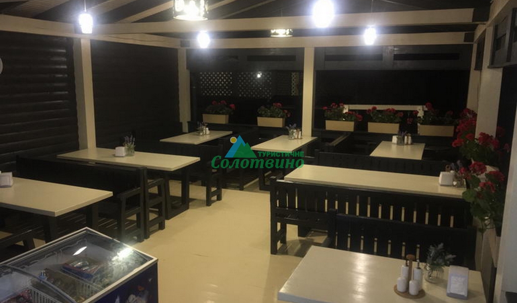 VILLA VLAD база відпочинку в Солотвино