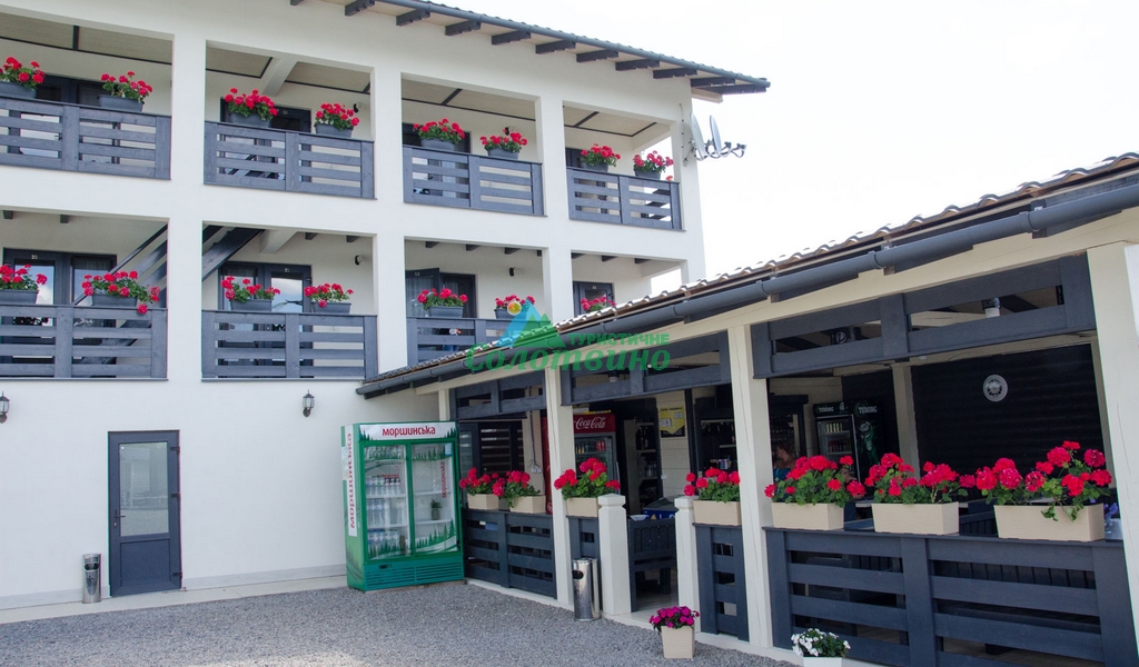 VILLA VLAD база відпочинку в Солотвино